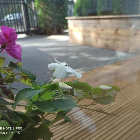 New Big Loft Apartments Jurmala With Free Secured Parking Exteriör bild