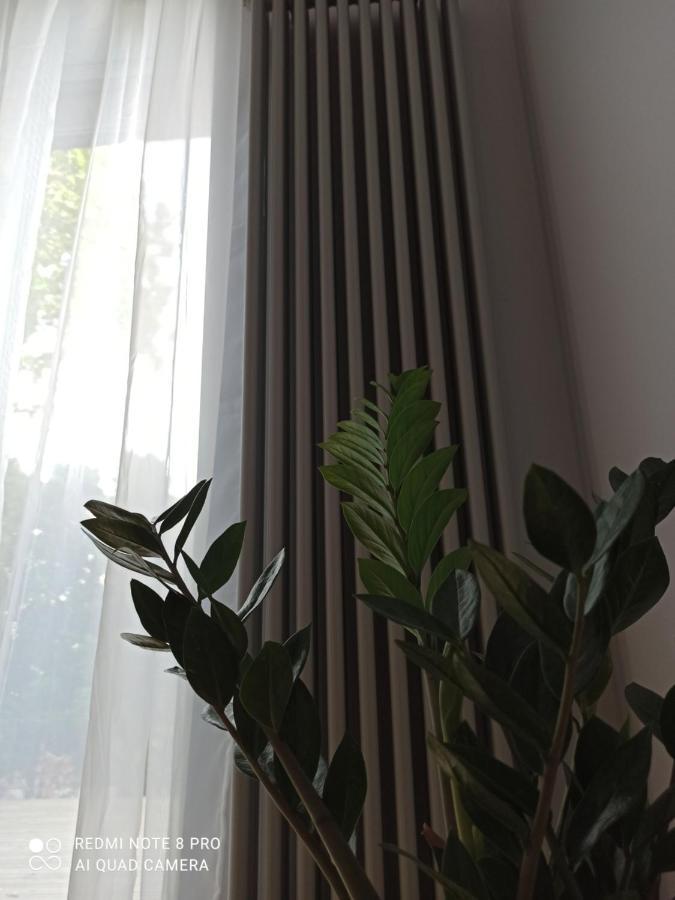 New Big Loft Apartments Jurmala With Free Secured Parking Exteriör bild